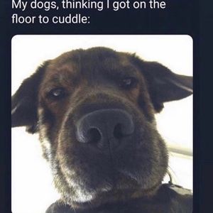 Meet your Posher, Deanne